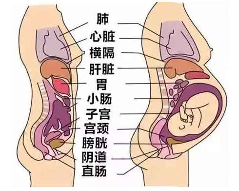 微信截图_20180601155453.png