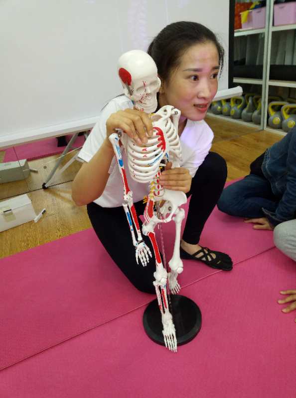 瑜伽肩颈理疗、颈椎康复课程