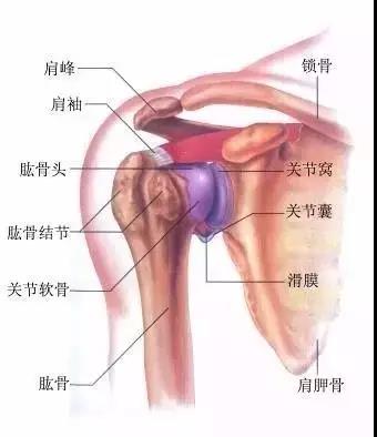 微信图片_20200603101046.jpg